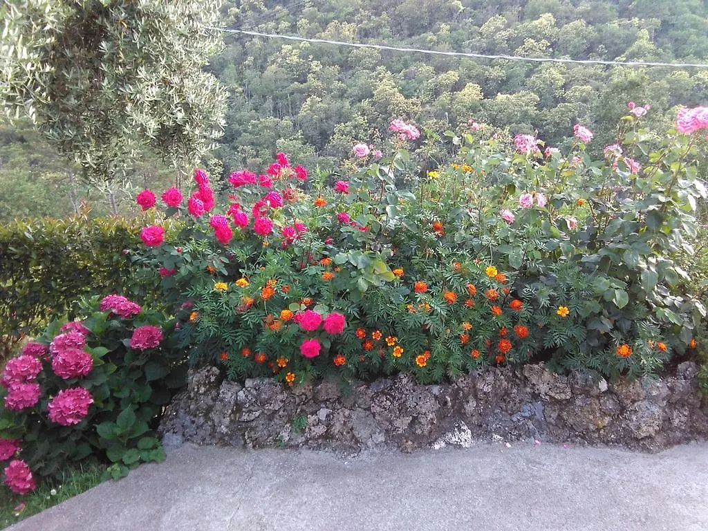 Appartamento Bargoncello Riccò del Golfo di Spezia Italia