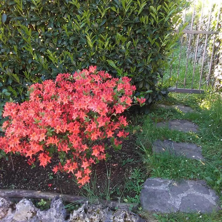 Appartamento Bargoncello Riccò del Golfo di Spezia Italia