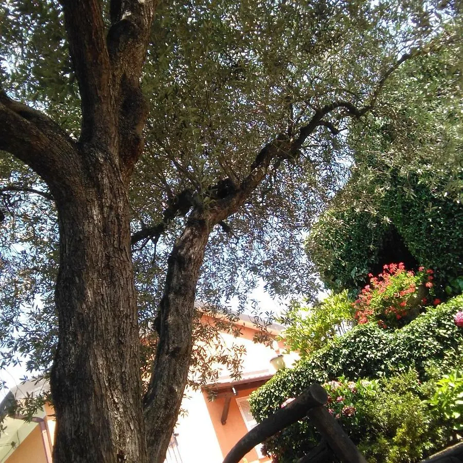 Appartamento Bargoncello Riccò del Golfo di Spezia Italia